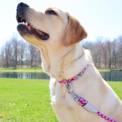 Show full view: Pro Active Adjustable Woven Reflective Standard Dog Collar, Pixel Pink, Large: 18 to 26-in neck, 1-in wide slide 6 of 7