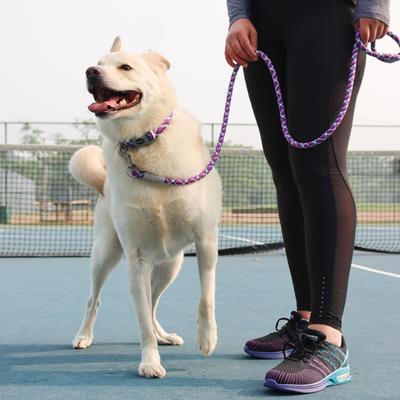 Show full view: Pro Active Adjustable Woven Reflective Standard Dog Collar, Woven Violet, Medium: 12 to 18-in neck, 3/4-in wide slide 4 of 6