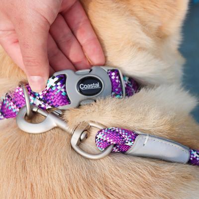 Show full view: Pro Active Adjustable Woven Reflective Standard Dog Collar, Woven Violet, Medium: 12 to 18-in neck, 3/4-in wide slide 6 of 6