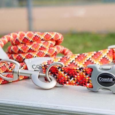 Show full view: Pro Active Woven Reflective Rope Standard Dog Leash, Burning Blocks, 6-ft long, 1-in wide slide 7 of 7