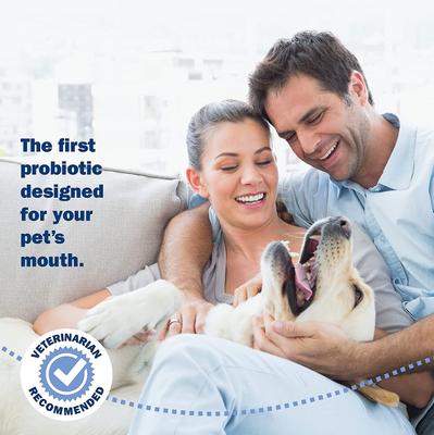 Show full view: ProBiora Probiotic Dog Oral Care Powder, 1-oz bottle slide 10 of 12