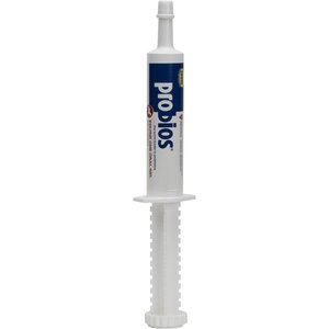 Probios Equine One Oral Gel Probiotic Digestive Horse Supplement, 1.05-oz, 30-g syringe
