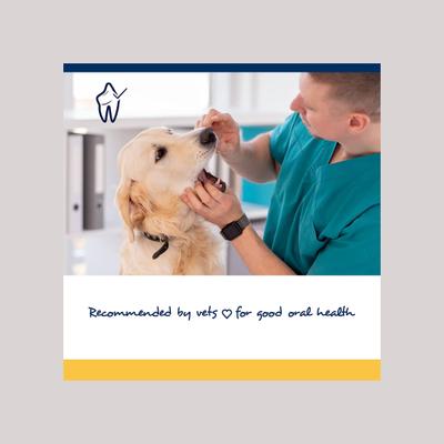 Show full view: ProDen PlaqueOff Large/Giant Breed Soft Chews Dog Treat, 45 count slide 6 of 9