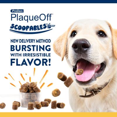 Show full view: ProDen PlaqueOff Scoopables 45 Scoops Adult Meat & Hickory Dry Dog Food Topper, Large: 11-oz bag slide 3 of 9