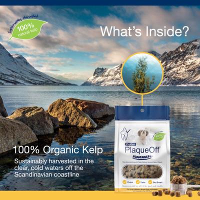 Show full view: ProDen PlaqueOff Scoopables 45 Scoops Adult Meat & Hickory Dry Dog Food Topper, Small: 5.5-oz bag slide 6 of 9