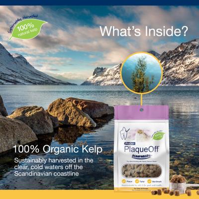 Show full view: ProDen PlaqueOff Scoopables 45 Scoops Seafood Fish & Salmon Dry Cat Food Topper, 5.5-oz bag slide 6 of 9