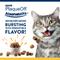 Show in main carousel: ProDen PlaqueOff Scoopables 45 Scoops Seafood Fish & Salmon Dry Cat Food Topper, 5.5-oz bag slide 3 of 9