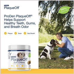 ProDen PlaqueOff Small/Med Breed Soft Chews Dog Treat, 45 count slide 2 of 7