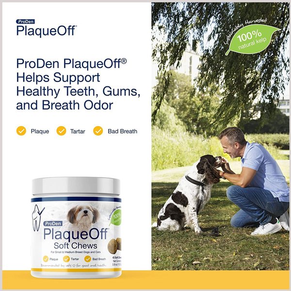 ProDen PlaqueOff Small/Med Breed Soft Chews Dog Treat, 45 count