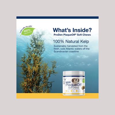 Show full view: ProDen PlaqueOff Small/Med Breed Soft Chews Dog Treat, 45 count slide 4 of 9