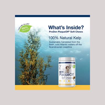 Show full view: ProDen PlaqueOff Small/Med Breed Soft Chews Dog Treat, 90 count slide 4 of 9