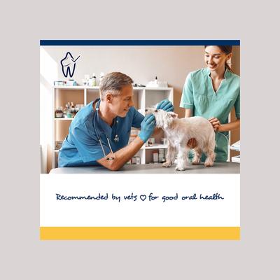 Show full view: ProDen PlaqueOff Small/Med Breed Soft Chews Dog Treat, 90 count slide 6 of 9