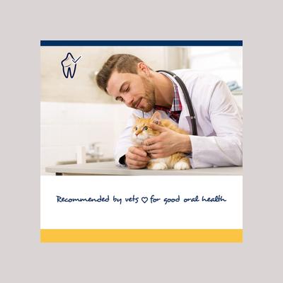 Show full view: ProDen PlaqueOff Soft Chews Cat Treat, 45 count slide 6 of 9