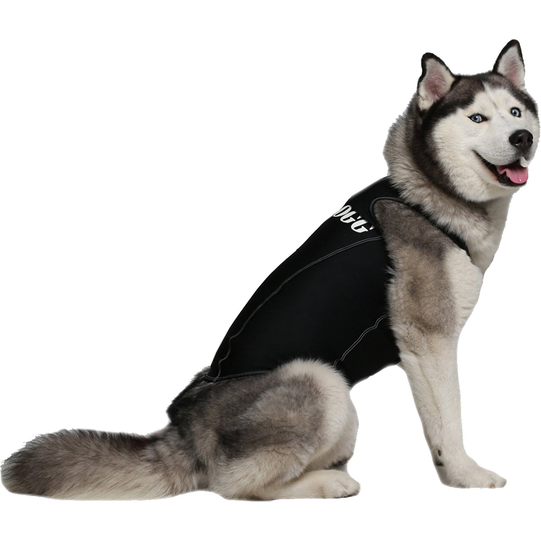 ProDogg Anxiety Vest for Dogs, Black, 4X-Large