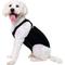 Show in main carousel: ProDogg Anxiety Vest for Dogs, Black, X-Small slide 4 of 10