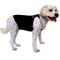 Show in main carousel: ProDogg Anxiety Vest for Dogs, Black, X-Small slide 5 of 10