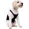 Show in main carousel: ProDogg Anxiety Vest for Dogs, Black, X-Small slide 6 of 10