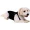 Show in main carousel: ProDogg Anxiety Vest for Dogs, Black, X-Small slide 8 of 10