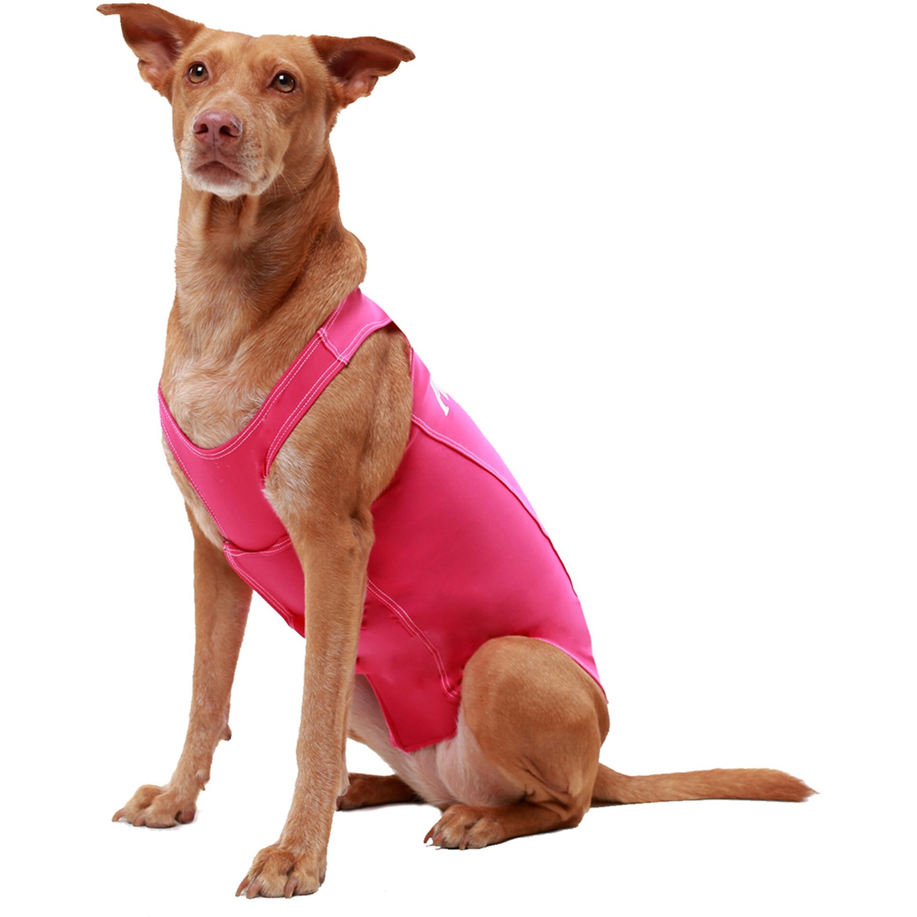 ProDogg Anxiety Vest for Dogs, Fuschia, Large
