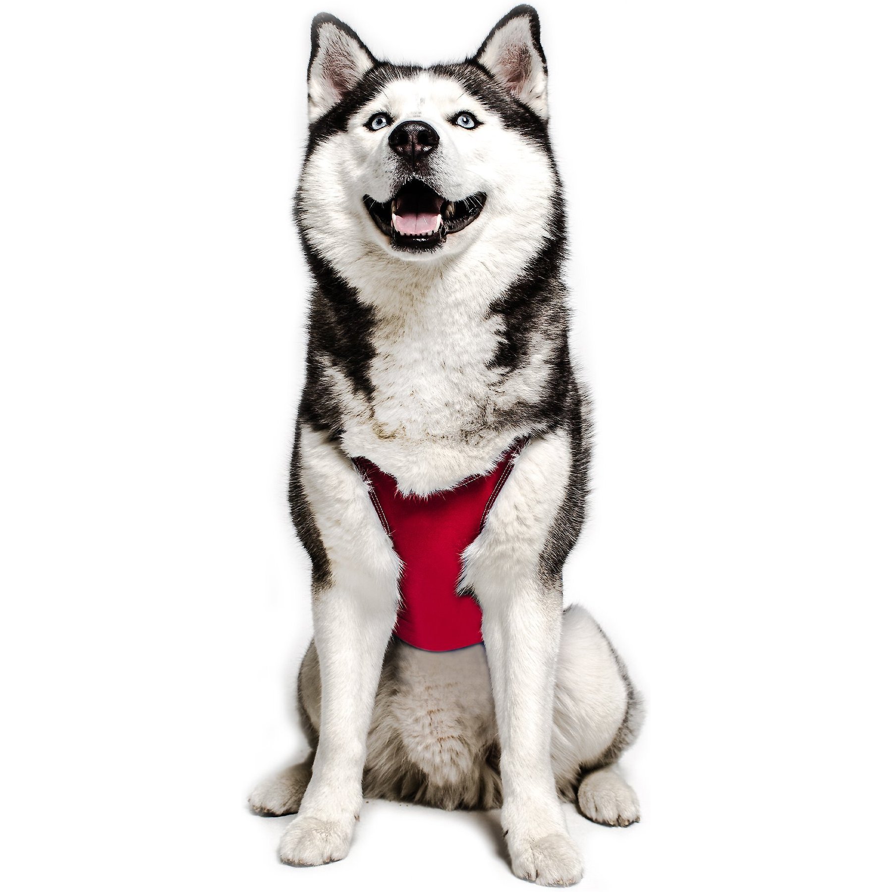 ProDogg Anxiety Vest for Dogs, Red, 5X-Large