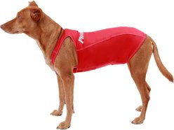ProDogg Anxiety Vest for Dogs, Red, Large