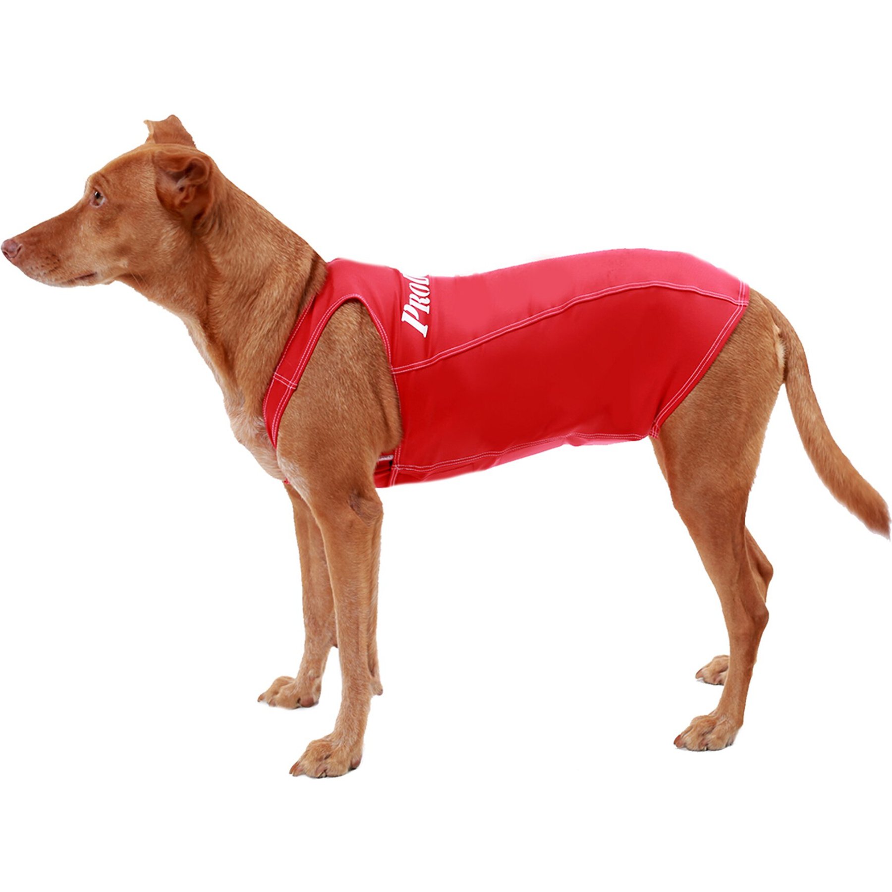 ProDogg Anxiety Vest for Dogs, Red, X-Large
