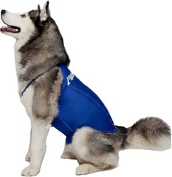 ProDogg Anxiety Vest for Dogs, Royal Blue, 3X-Large