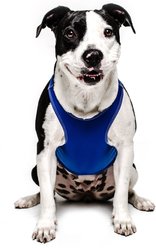 ProDogg Anxiety Vest for Dogs, Royal Blue, Large