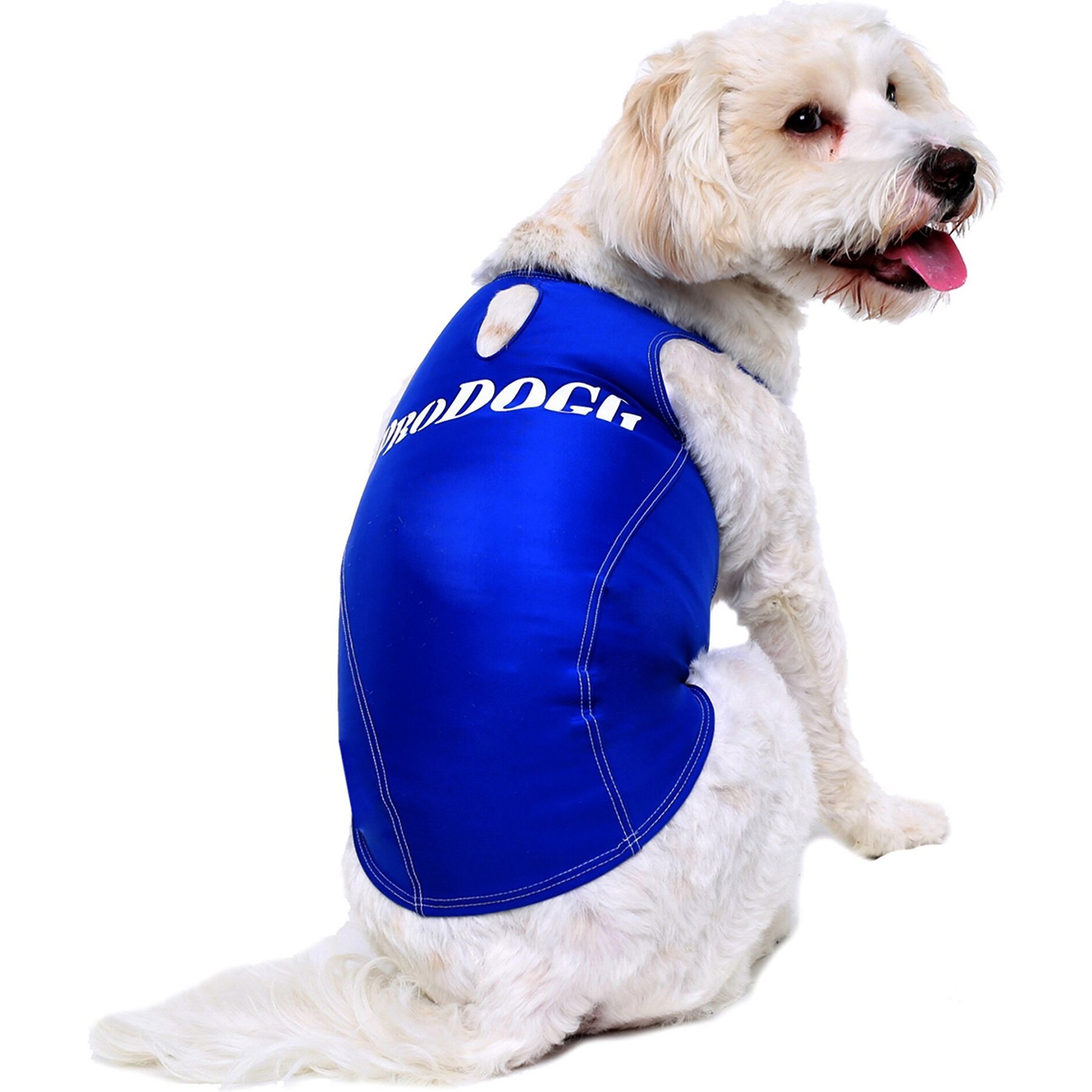 ProDogg Anxiety Vest for Dogs, Royal Blue, Medium