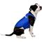Show in main carousel: ProDogg Anxiety Vest for Dogs, Royal Blue, X-Large slide 4 of 10