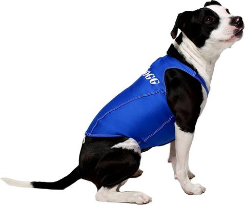 Show full view: ProDogg Anxiety Vest for Dogs, Royal Blue, X-Large slide 4 of 10