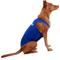 Show in main carousel: ProDogg Anxiety Vest for Dogs, Royal Blue, X-Large slide 6 of 10