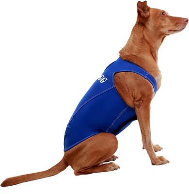 Show full view: ProDogg Anxiety Vest for Dogs, Royal Blue, X-Large slide 6 of 10