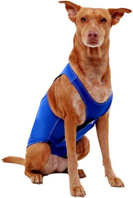Show full view: ProDogg Anxiety Vest for Dogs, Royal Blue, X-Large slide 7 of 10