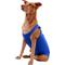 Show in main carousel: ProDogg Anxiety Vest for Dogs, Royal Blue, X-Large slide 8 of 10