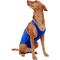 Show in main carousel: ProDogg Anxiety Vest for Dogs, Royal Blue, X-Large slide 9 of 10