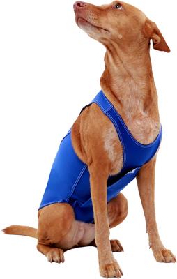 Show full view: ProDogg Anxiety Vest for Dogs, Royal Blue, X-Large slide 9 of 10