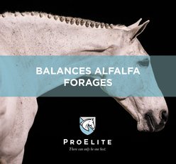 ProElite Alfalfa Advantage Ultra Premium Equine Diet Balancer Horse Feed, 50-lb bag slide 2 of 9
