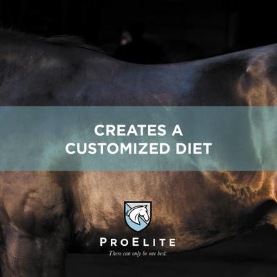 Show full view: ProElite Alfalfa Advantage Ultra Premium Equine Diet Balancer Horse Feed, 50-lb bag slide 7 of 10