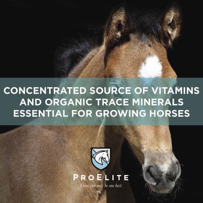 Show full view: ProElite Aqua Aide Electrolyte Replenishment Horse Supplement, 15-lb pail slide 4 of 9