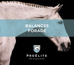 ProElite Grass Advantage Ultra Premium Equine Diet Balancer Horse Feed, 50-lb bag slide 2 of 9