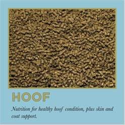 ProElite Hoof Healthy Hoof, Skin, & Coat Support Horse Supplement, 3-lb tub slide 2 of 8