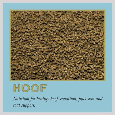 Show full view: ProElite Hoof Healthy Hoof, Skin, & Coat Support Horse Supplement, 3-lb tub slide 2 of 9