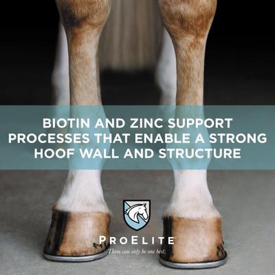 Show full view: ProElite Hoof Healthy Hoof, Skin, & Coat Support Horse Supplement, 3-lb tub slide 4 of 9