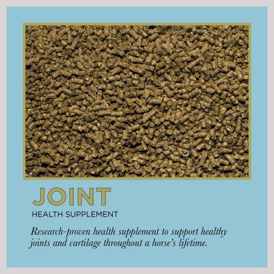 Show full view: ProElite Joint & Cartilage Health Equine Supplement, 3-lb tub slide 2 of 9