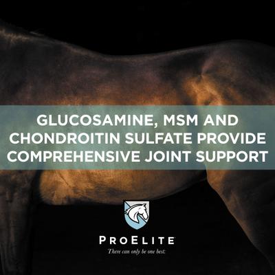 Show full view: ProElite Joint & Cartilage Health Equine Supplement, 3-lb tub slide 4 of 9
