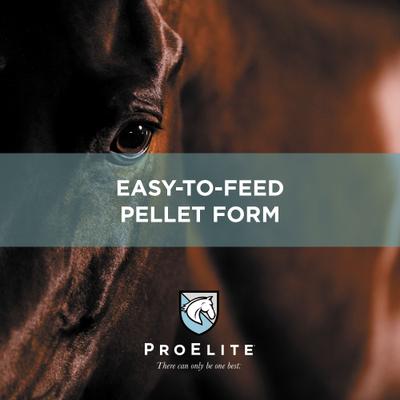 Show full view: ProElite Joint & Cartilage Health Equine Supplement, 3-lb tub slide 6 of 9