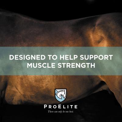 Show full view: ProElite Performance Ultra Premium Low Sugar & Low Starch Horse Feed, 50-lb bag slide 4 of 10