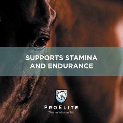Show full view: ProElite Performance Ultra Premium Low Sugar & Low Starch Horse Feed, 50-lb bag slide 6 of 10