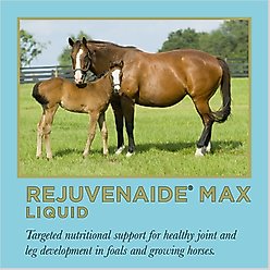 ProElite Rejuvenade Max Healthy Joint & Leg Liquid Horse Supplement, 2-lb tub slide 2 of 8